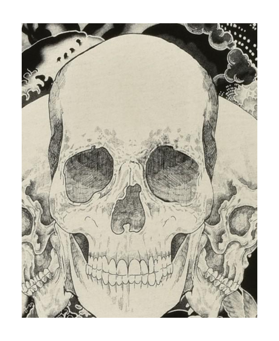 Just Cavalli Skull Printed Short-sleeved T-shirt In Black