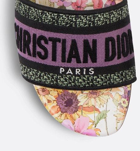 Dior Dway Logo Flip-flops In Multicolor
