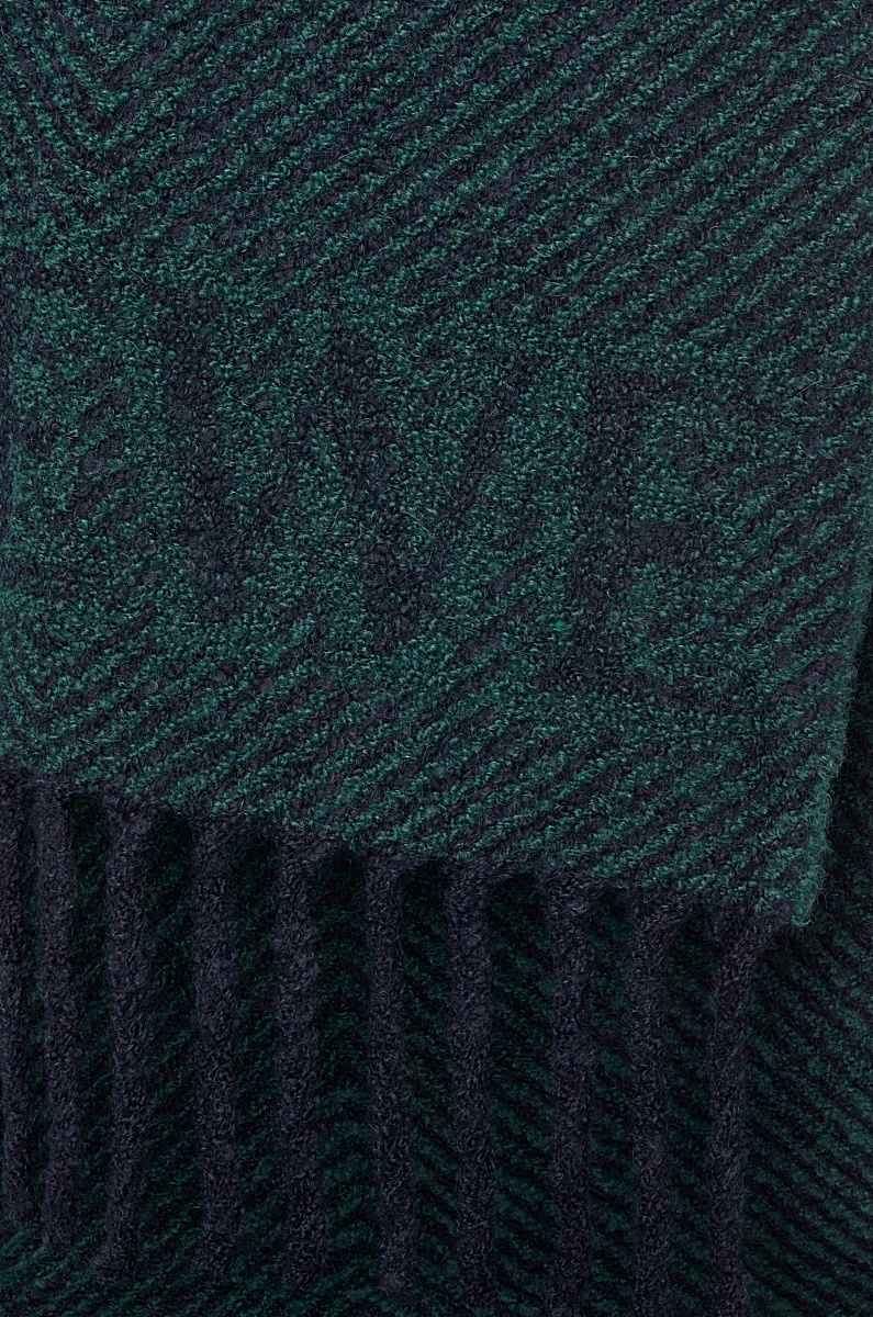 Loewe Alpaca-blend Logo Scarf In Green