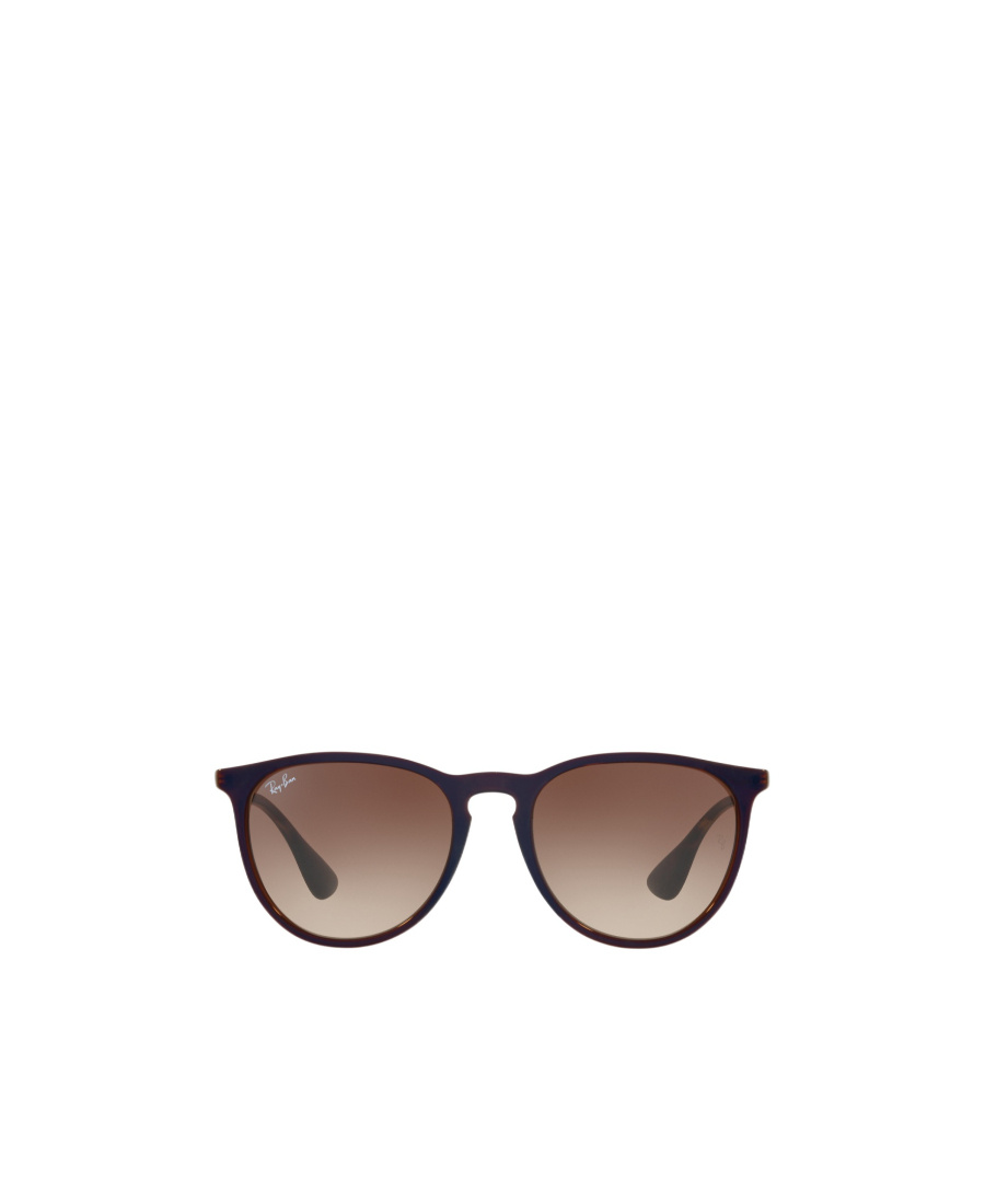 Ray Ban Ray-ban Erika Classic Sunglasses In Brown
