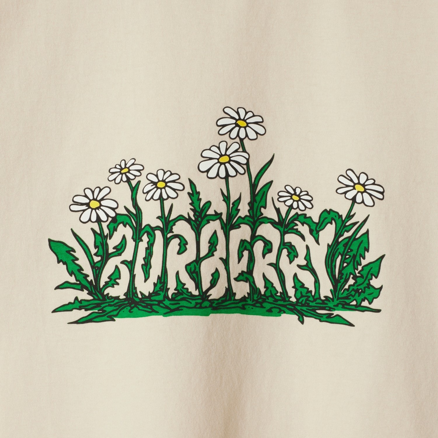 Burberry Soft Cotton T-shirt With Vibrant Floral Graphic In Nude