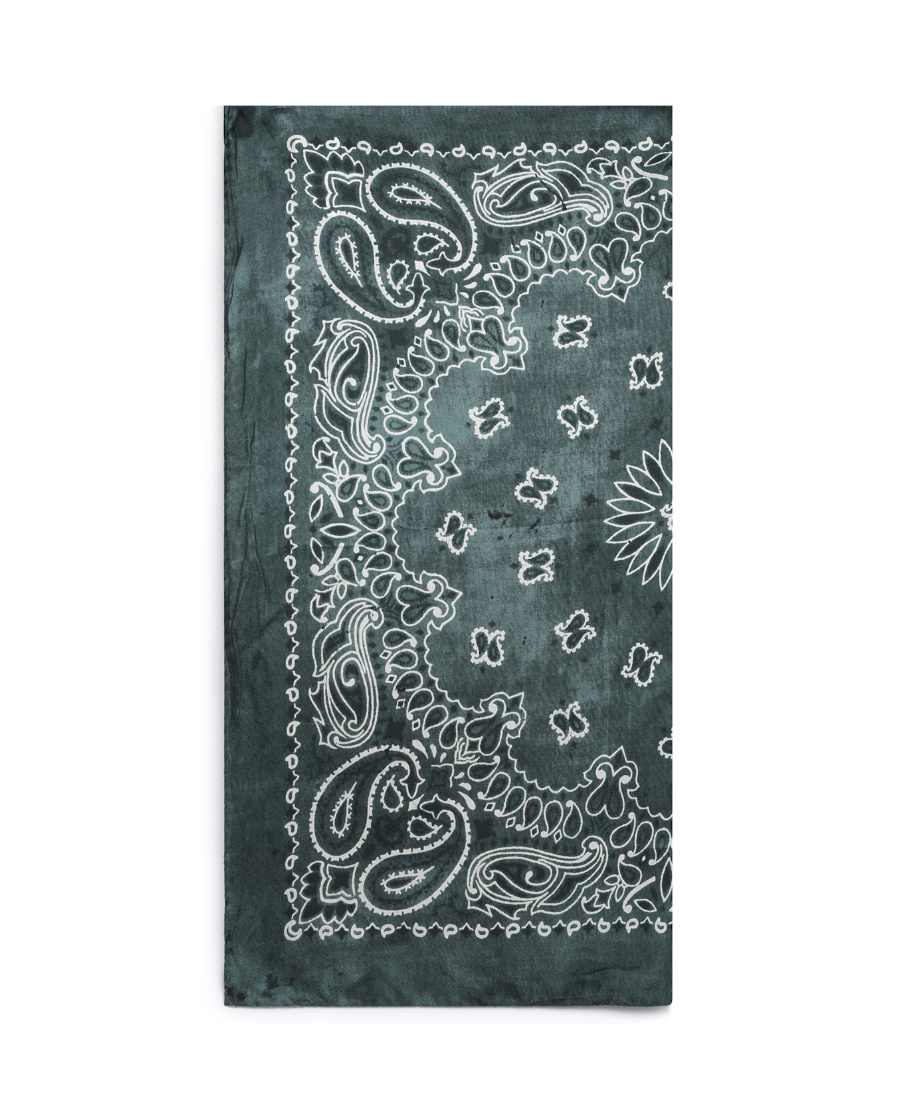Golden Goose Paisley Printed Scarf In Green