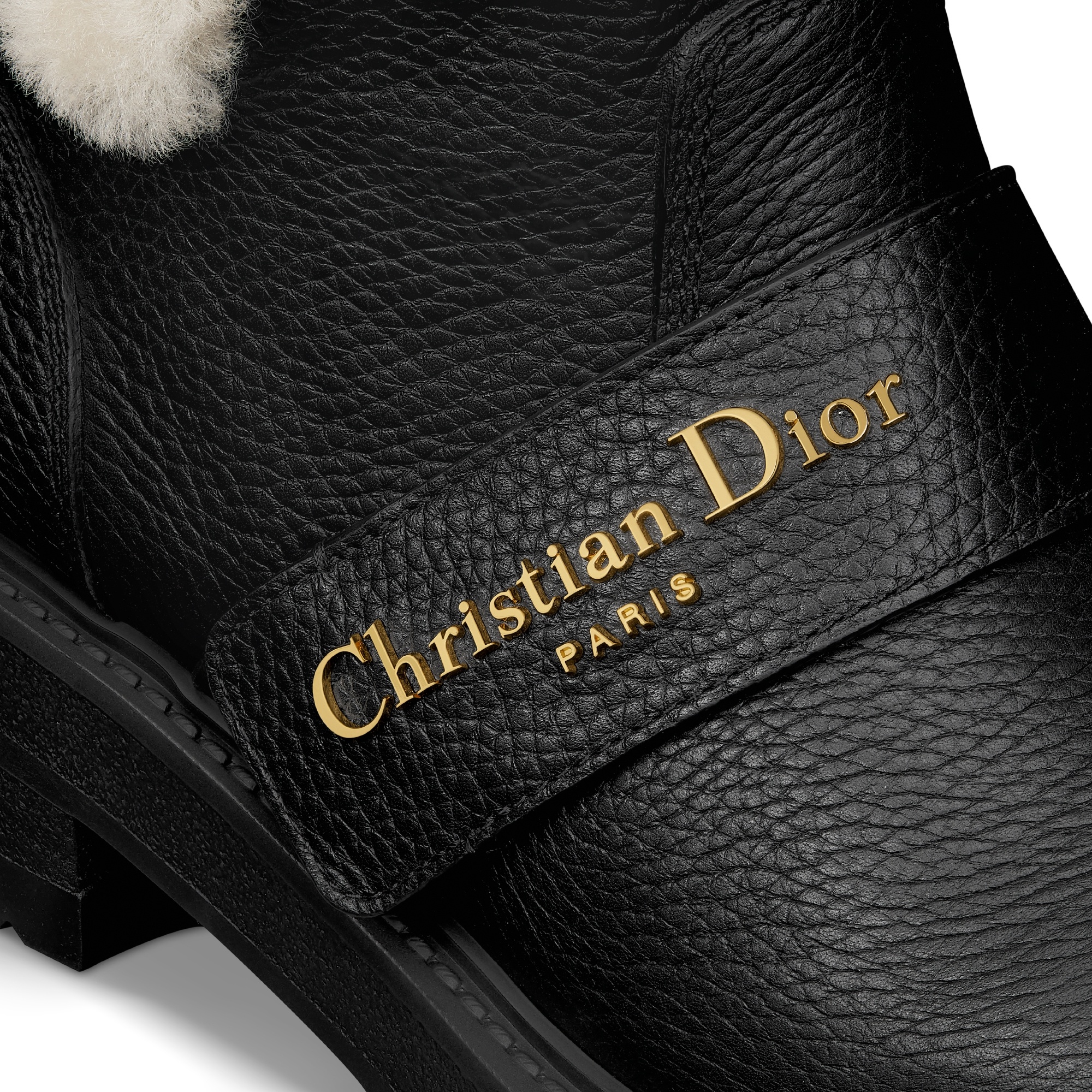 Dior Alps D-quest Ankle Boot In Black