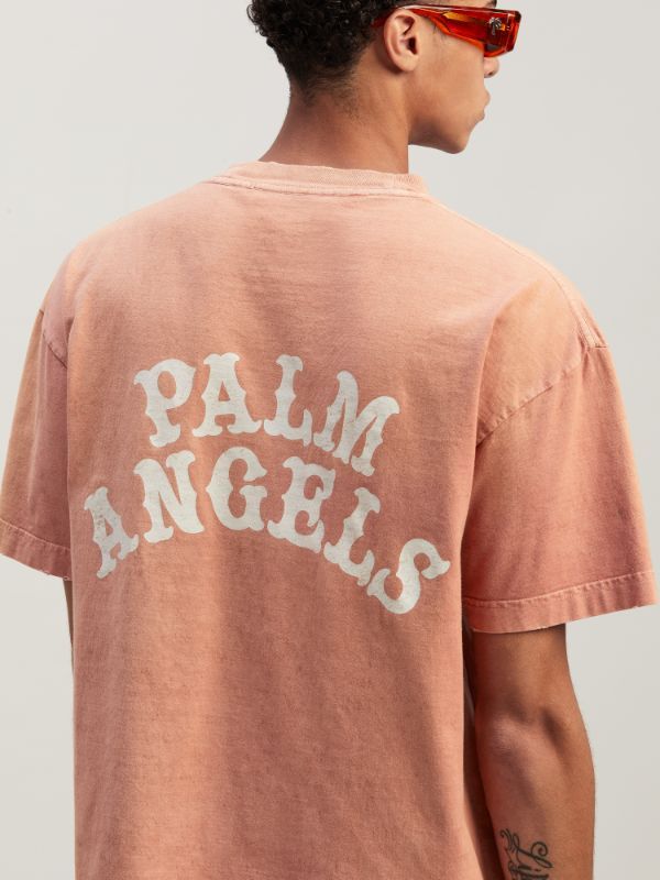 Palm Angels Graphic Printed Crewneck T-shirt In Pink