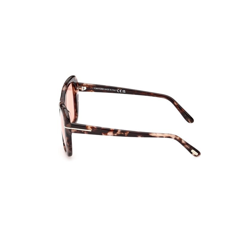 Tom Ford Logo Sunglasses In Brown