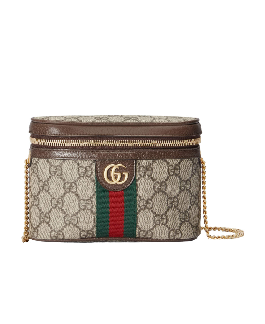 Gucci Ophidia Belt Bag In Multicolor