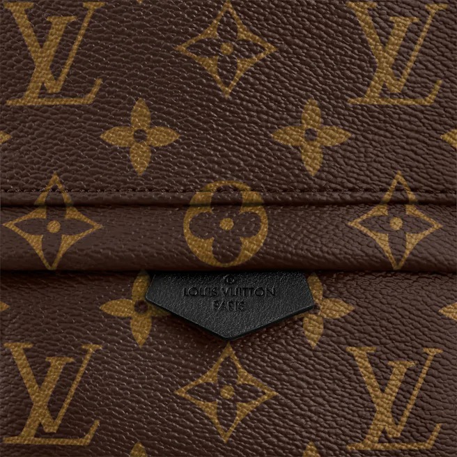Pre-owned Louis Vuitton 2020 Mini Palm Springs Backpack In Brown