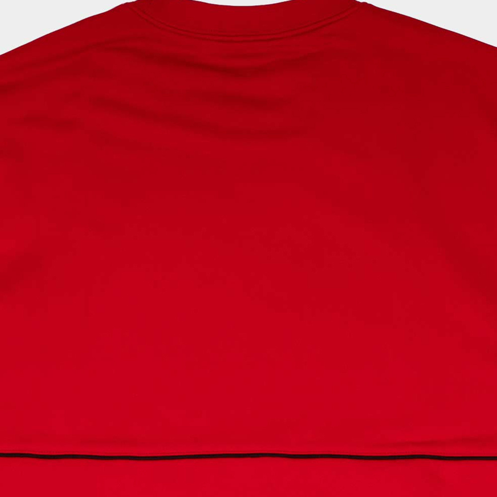 Ea7 Round Collar Long Sleeve Sweater In Red