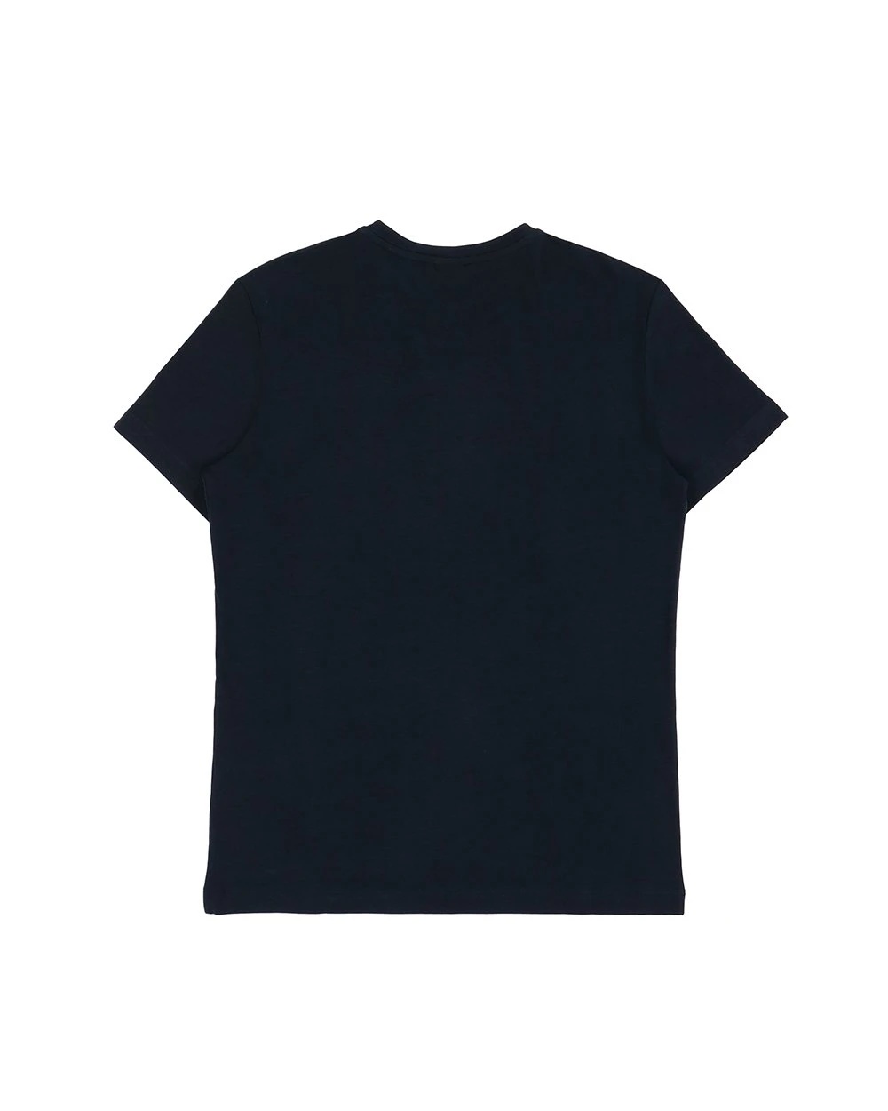 Armani Collezioni T-shirt With Round Neck And Short Sleeves In Black