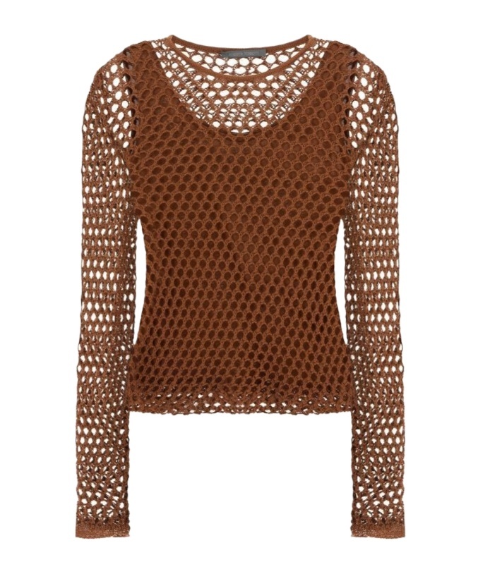 Alberta Ferretti Mesh Top With Long Sleeves And Round Neck In Brown