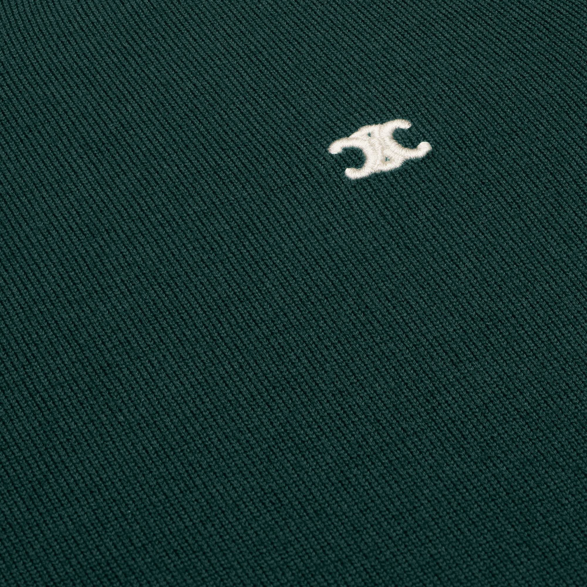 Celine Triomphe Crew Neck Sweater In Wool In Green