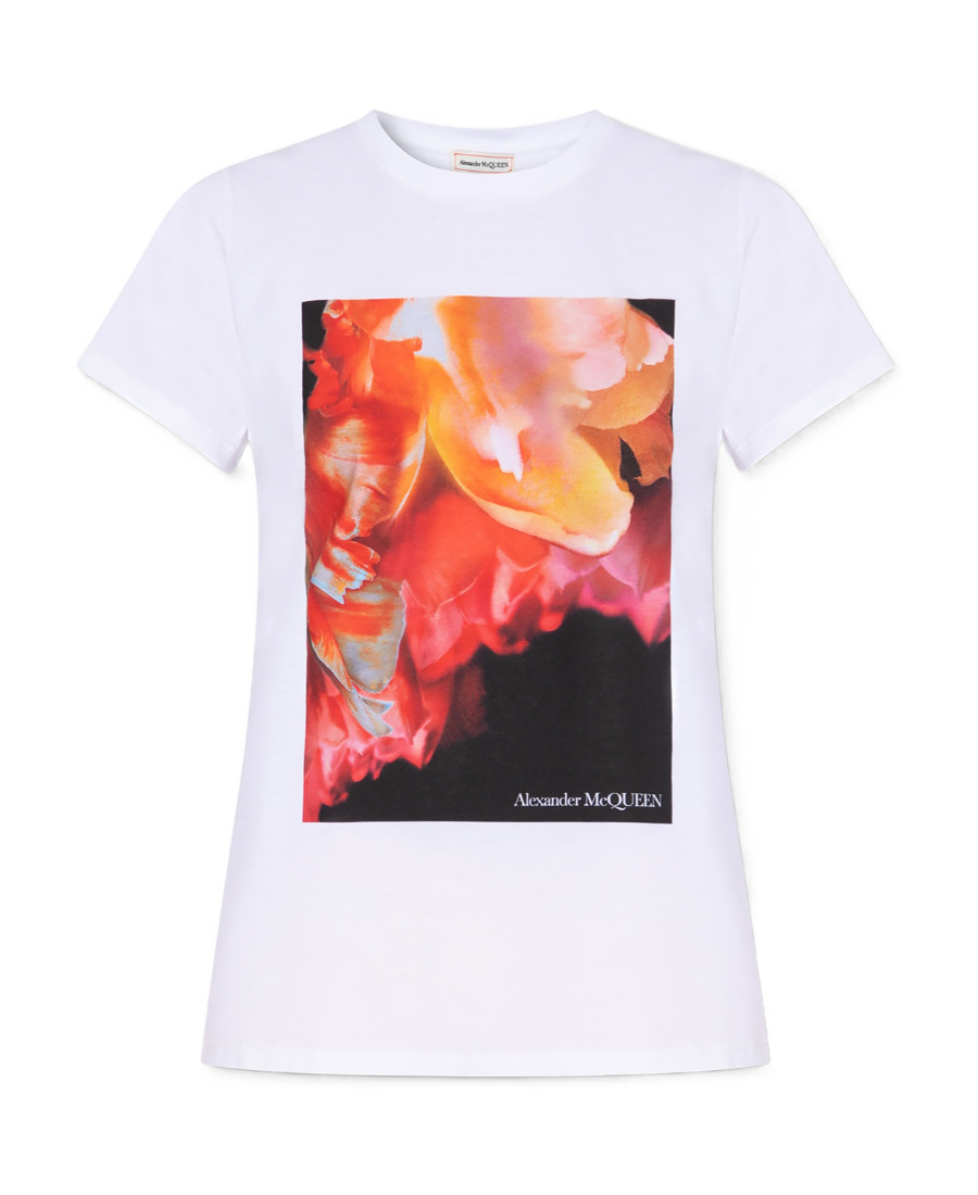 Alexander Mcqueen Print Cotton T-shirt In White