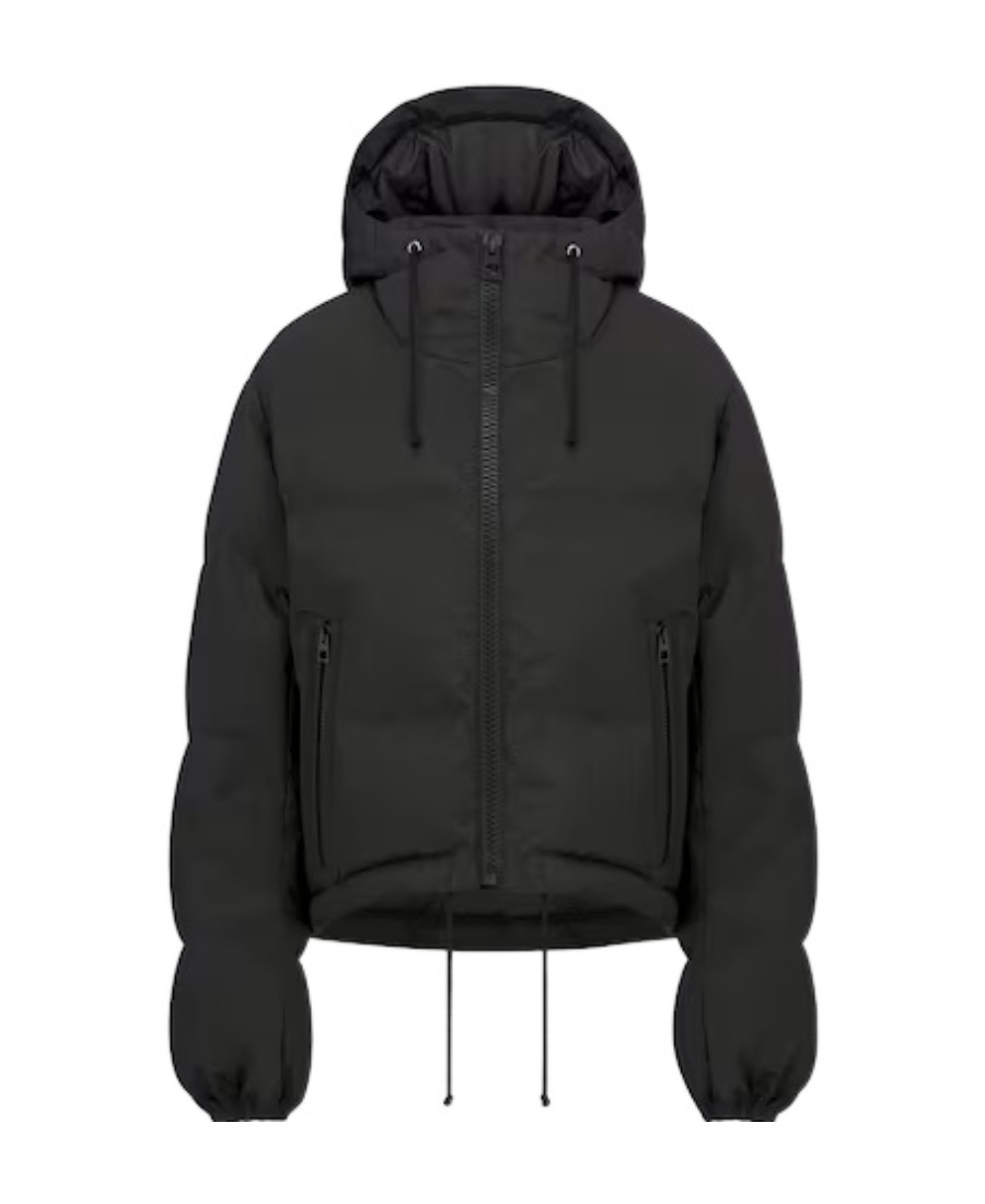 Dior Hooded Cotton-padded Jacket In Black