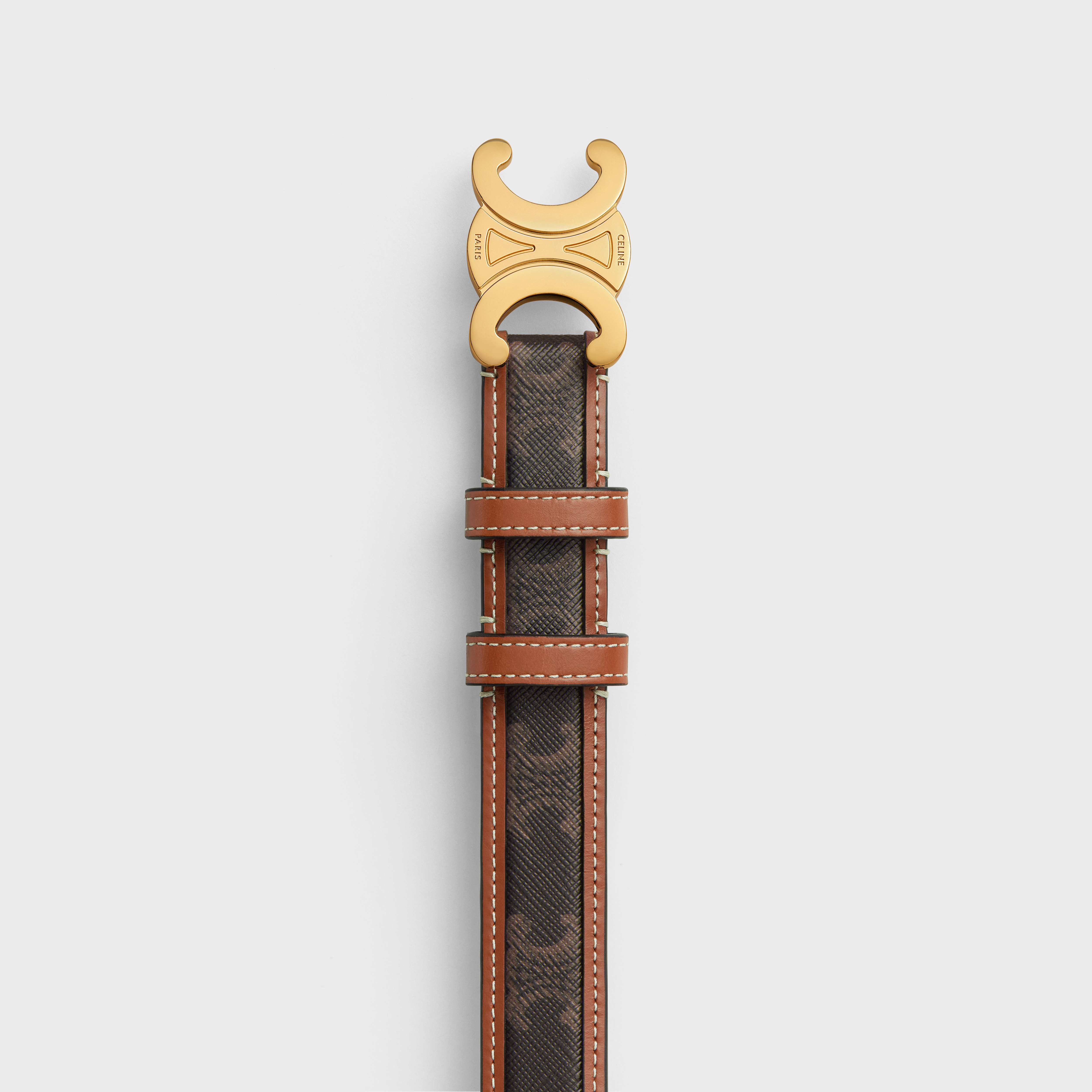 Celine Border Triomphe Medium Logo Printed Cowhide Belt In Brown