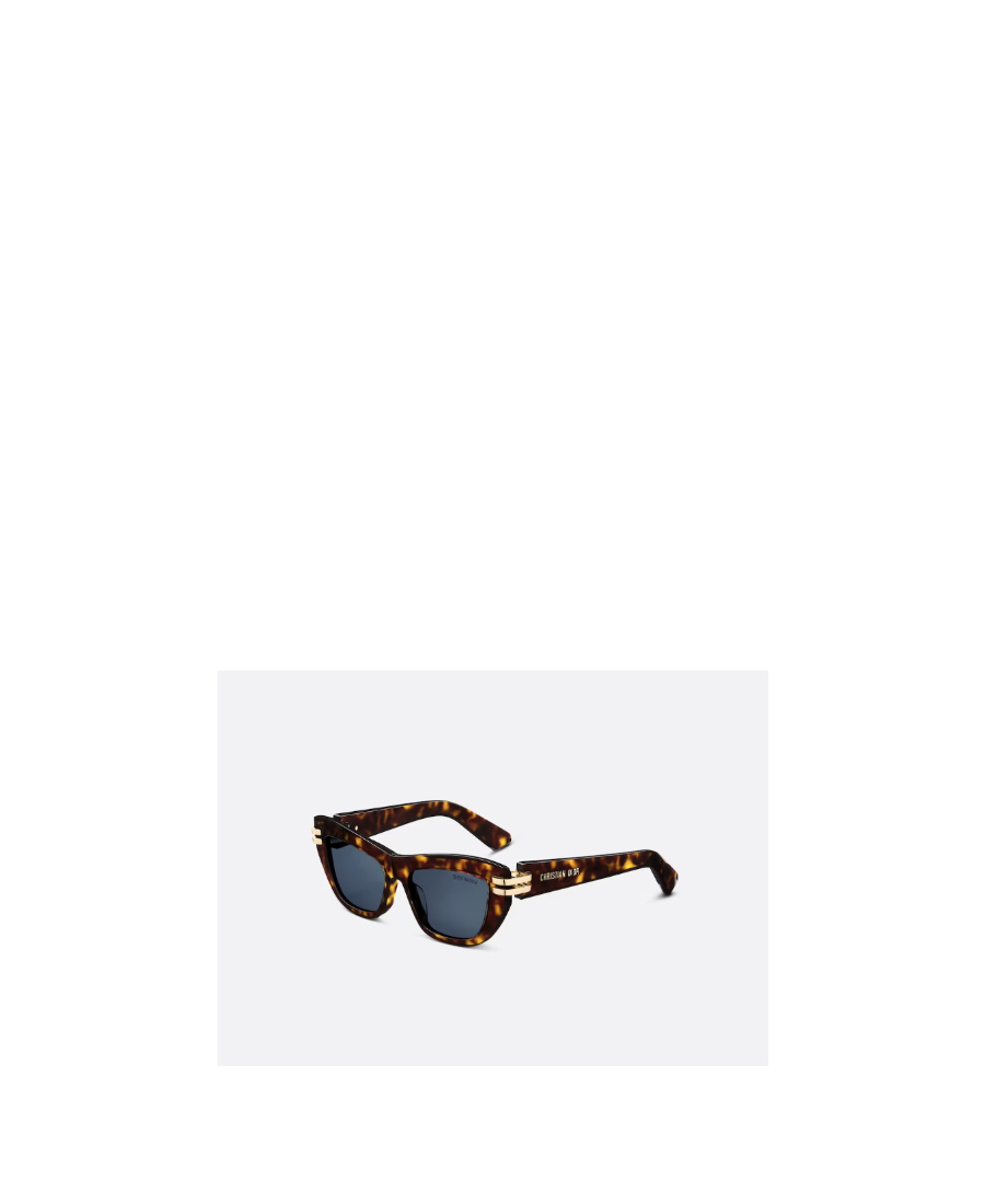 Dior Logo Butterfly Sunglasses In Brown