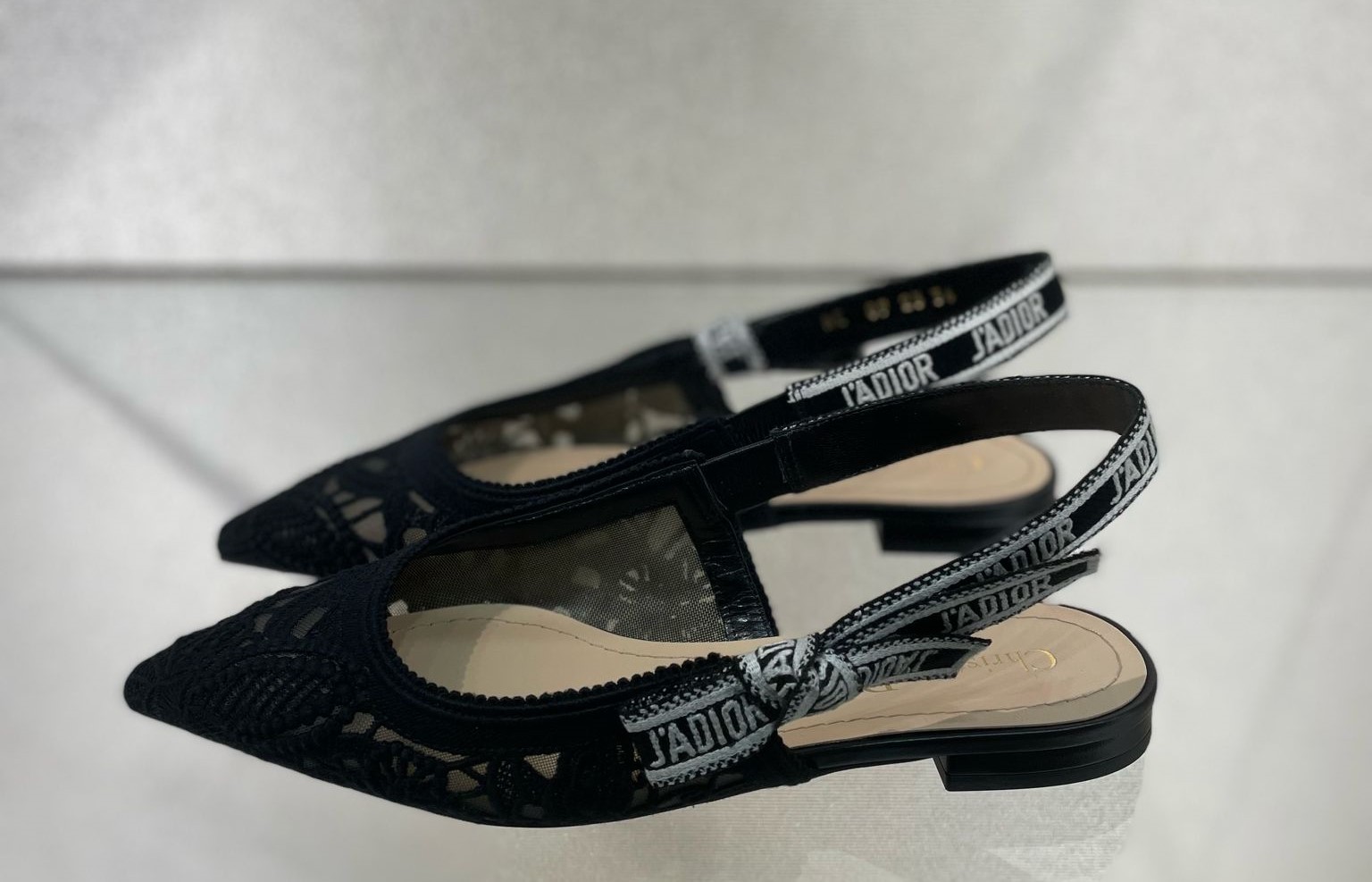 DIOR POINTED FLAT SHOES
