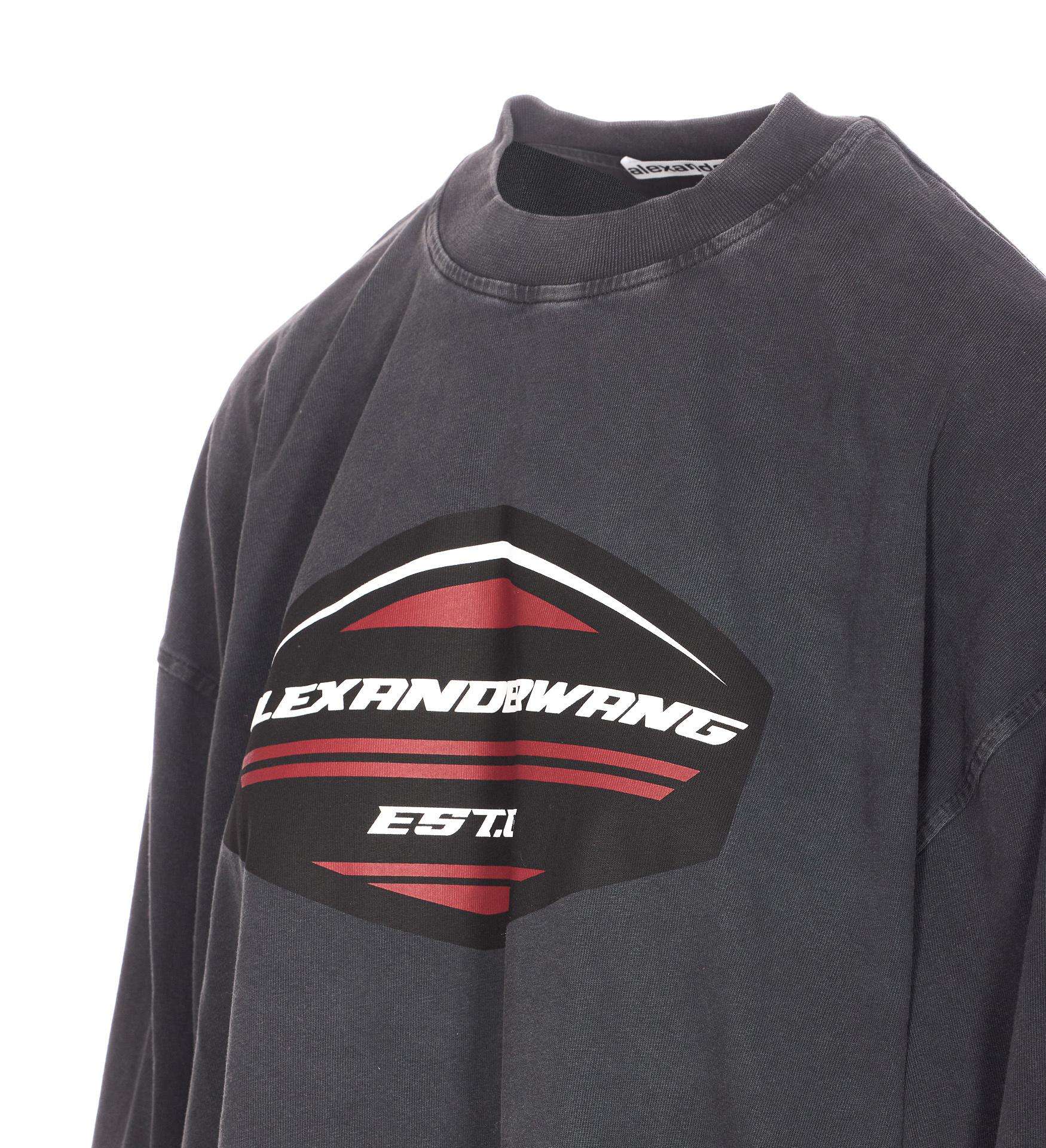 Alexander Wang Long-sleeved Graphic Jersey In Gray
