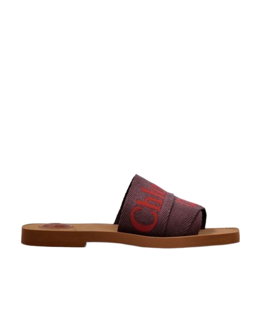 Chloé Logo Slippers In Brown