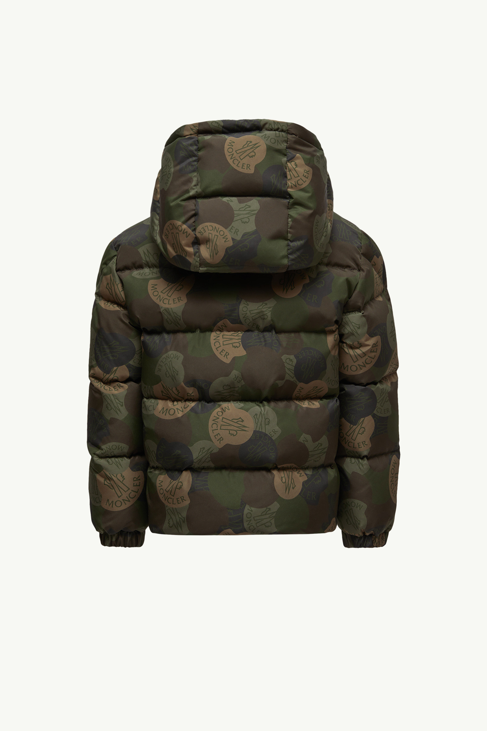 Moncler Escer Hooded Down Jacket In Multi
