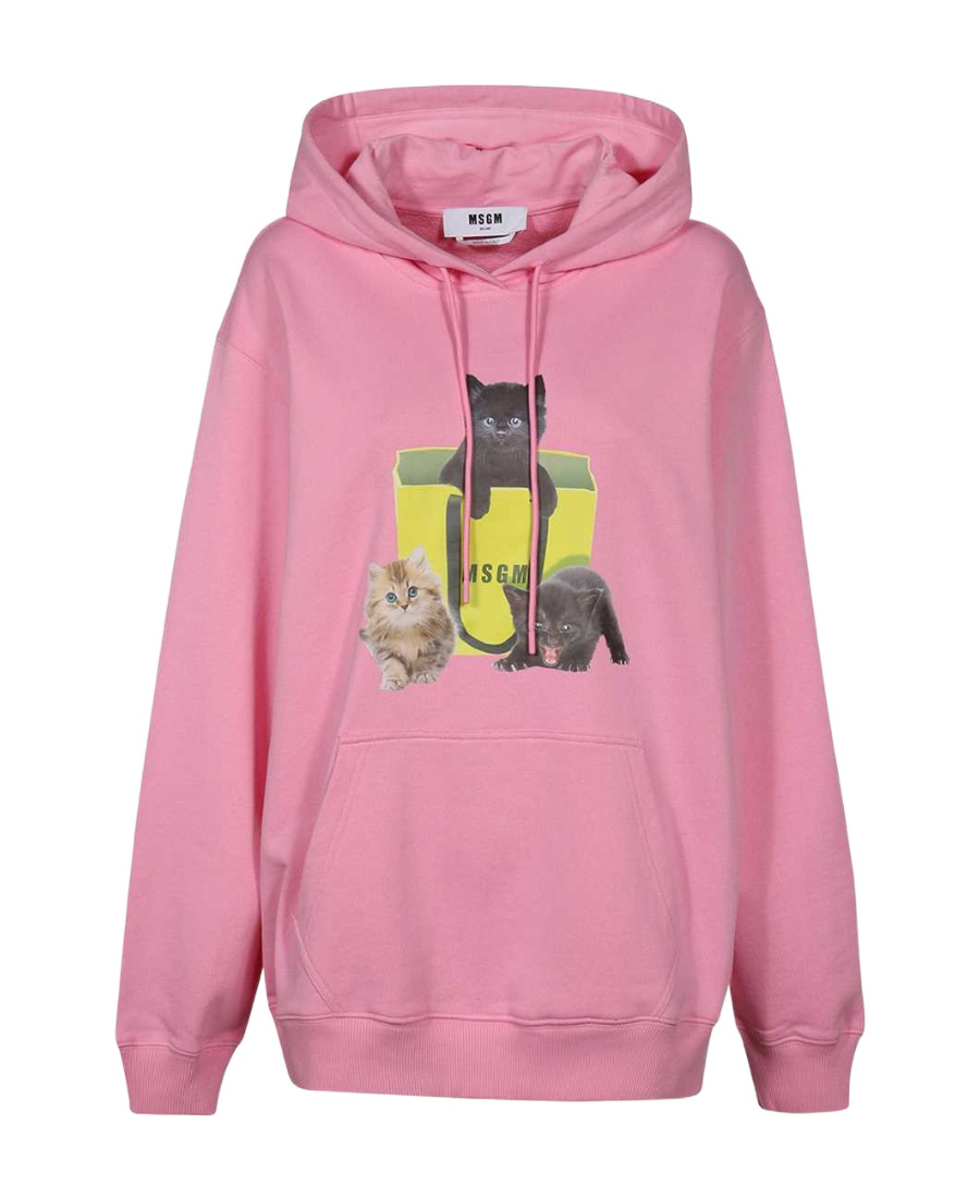 Msgm Cotton Hoodie In Pink