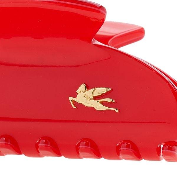 Etro Logo Hair Accessories In Red