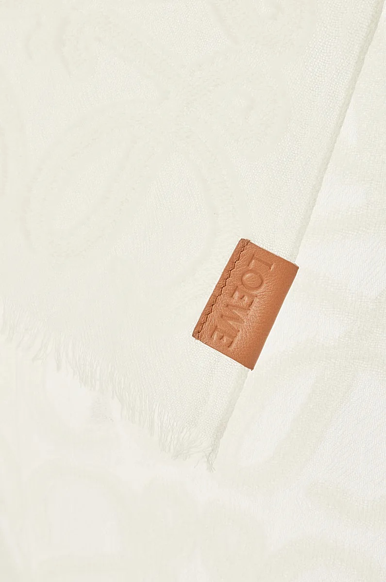 Loewe Wool And Silk Scarves
