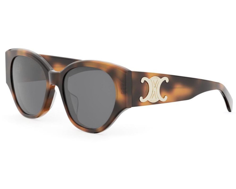 Celine Full Frame Sunglasses In Multi