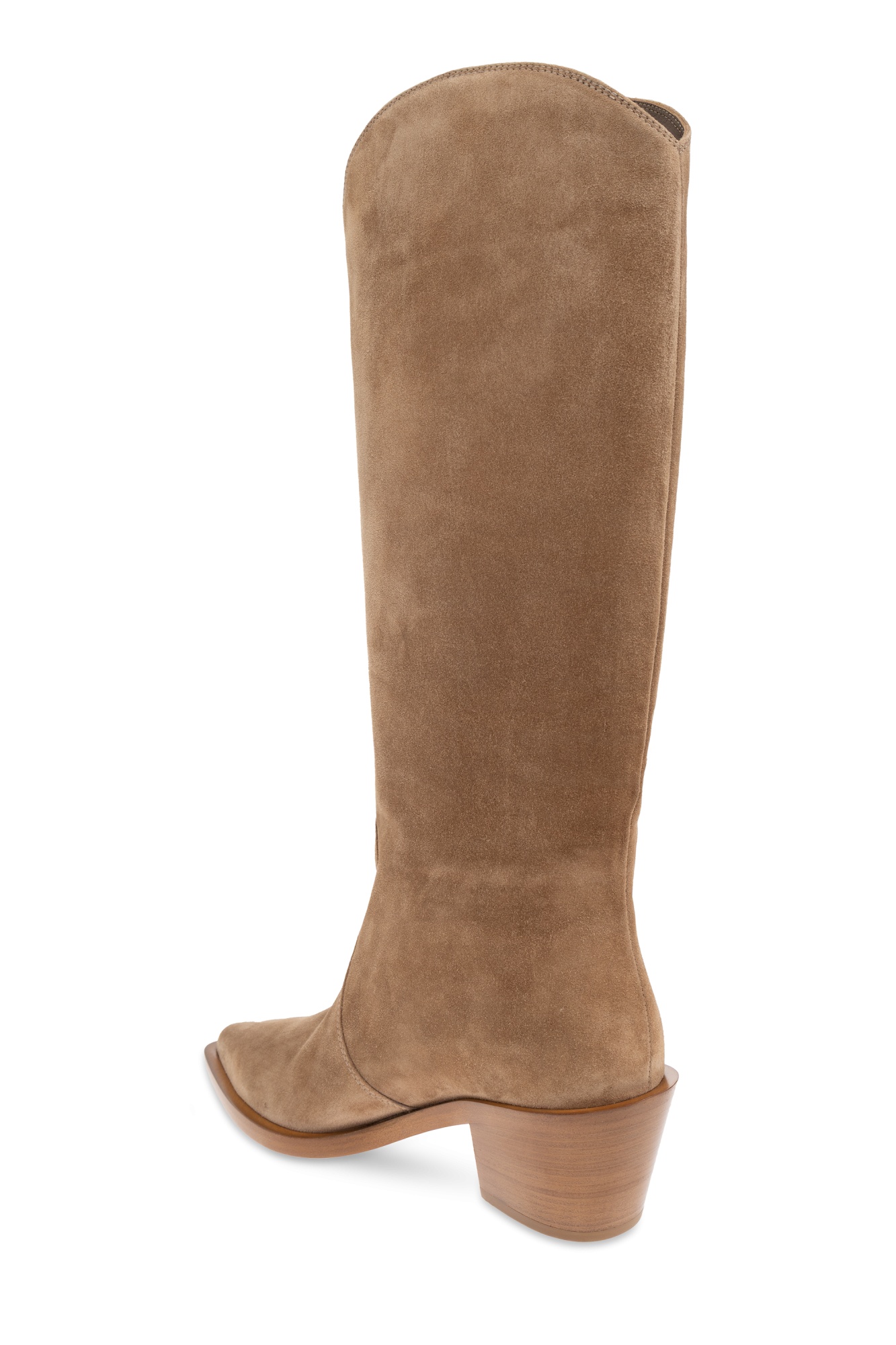 Gianvito Rossi Waylon Pointed Toe Boots