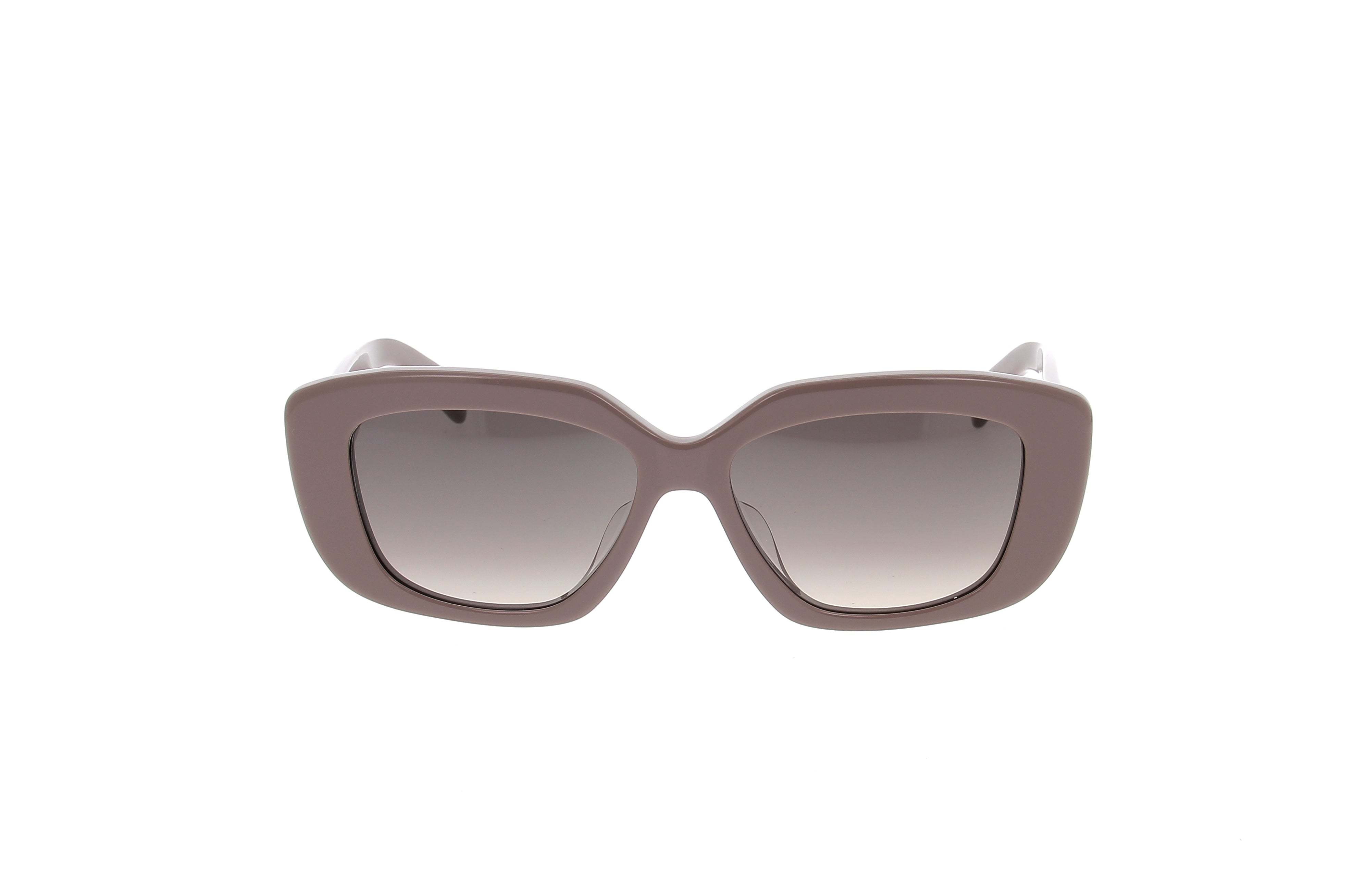 Celine Full Frame Sunglasses In Gray