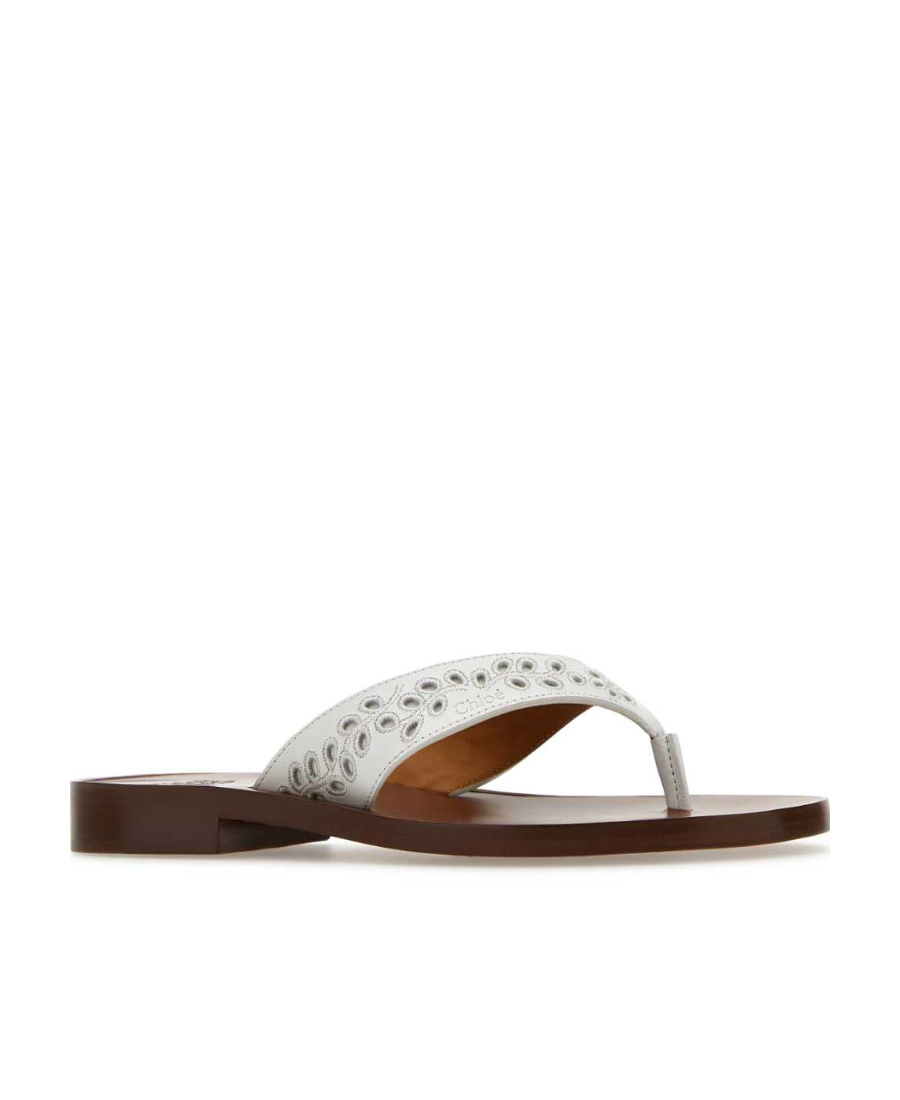 Chloé Chloe Slippers In Brown
