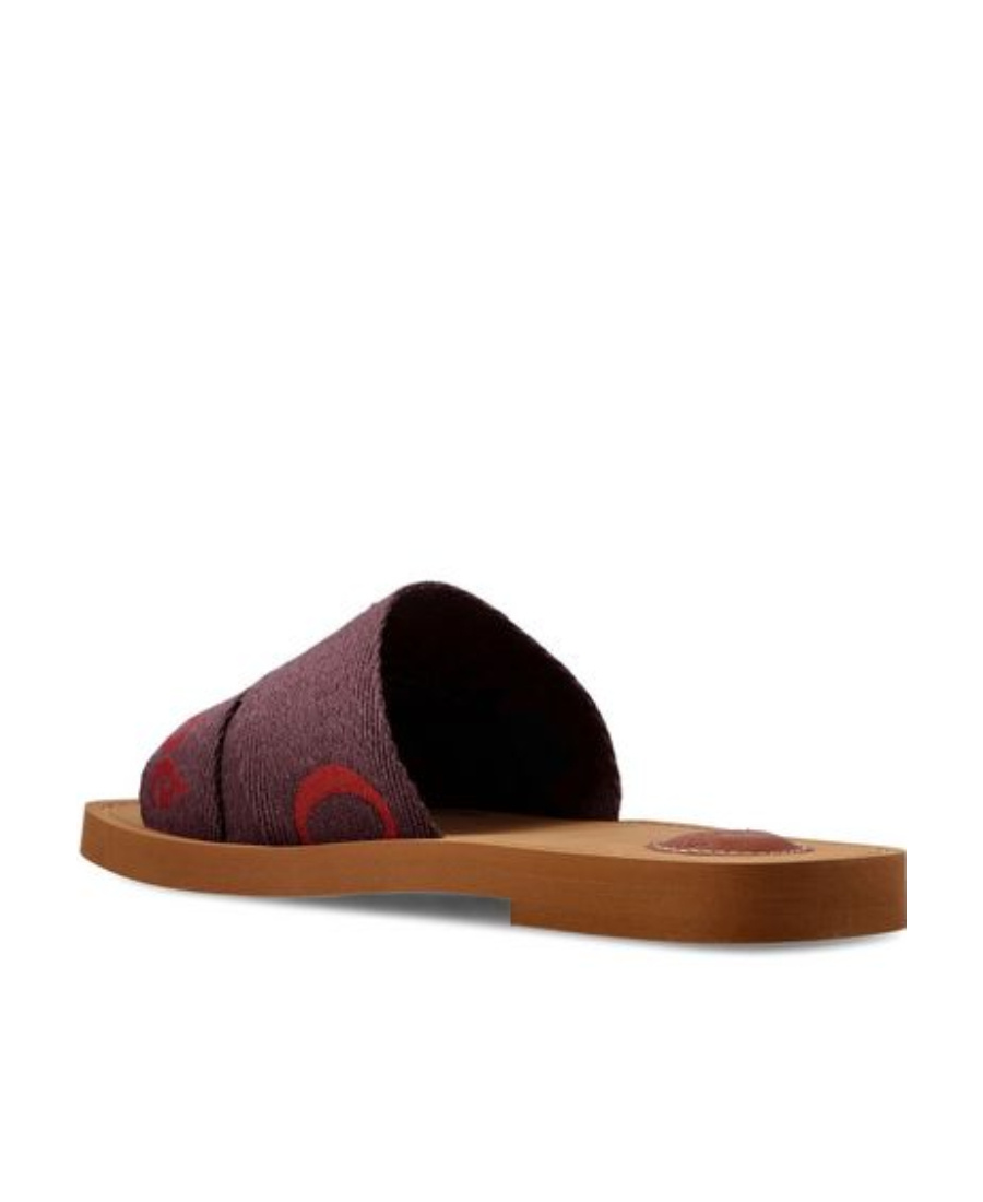 Chloé Logo Slippers In Brown