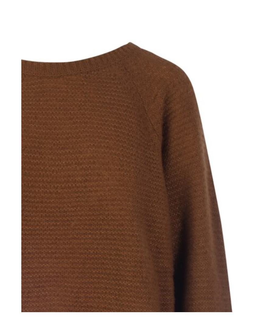 Max Mara Satrapo Round-neck Pullover In Brown