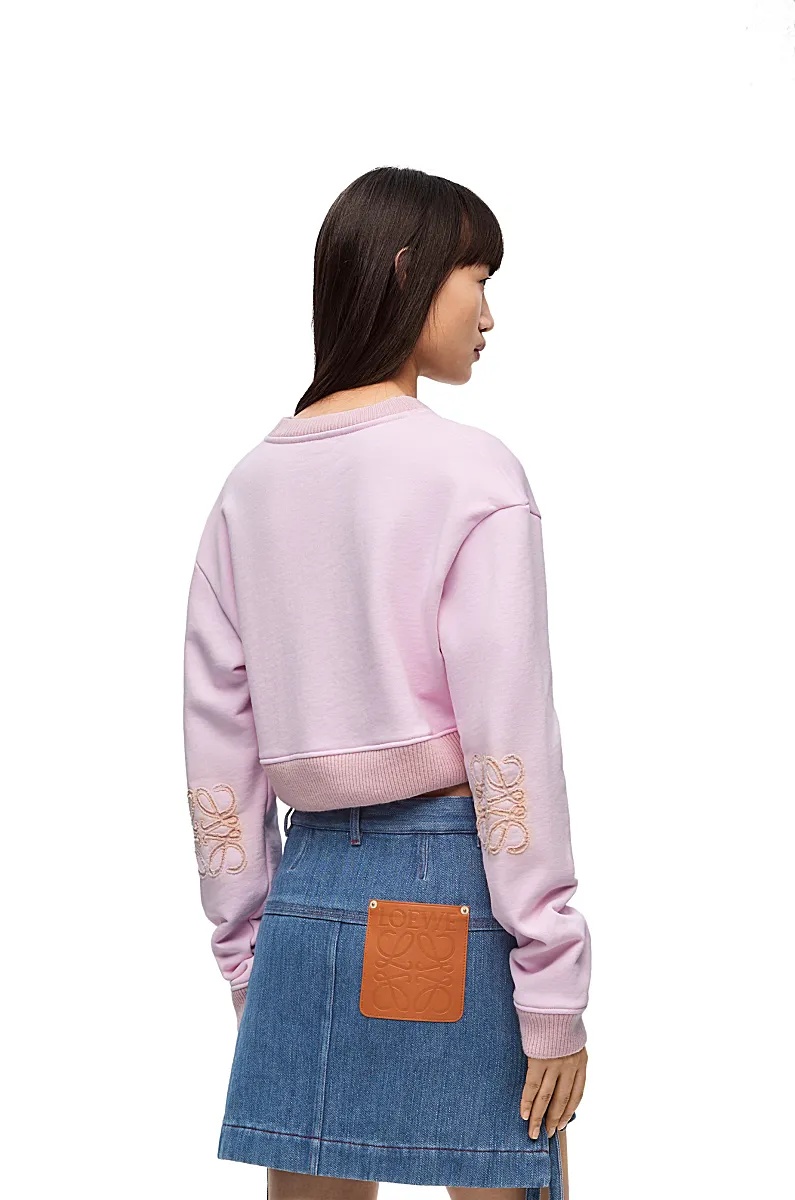 Loewe Long-sleeved Short-style Sweater In Purple