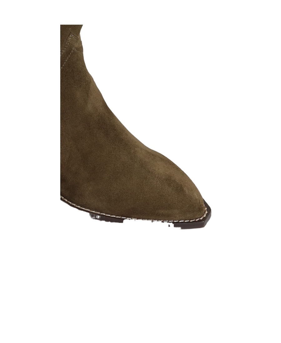 ISABEL MARANT ISABEL MARANT DAHOPE POINTED TOE BOOTS