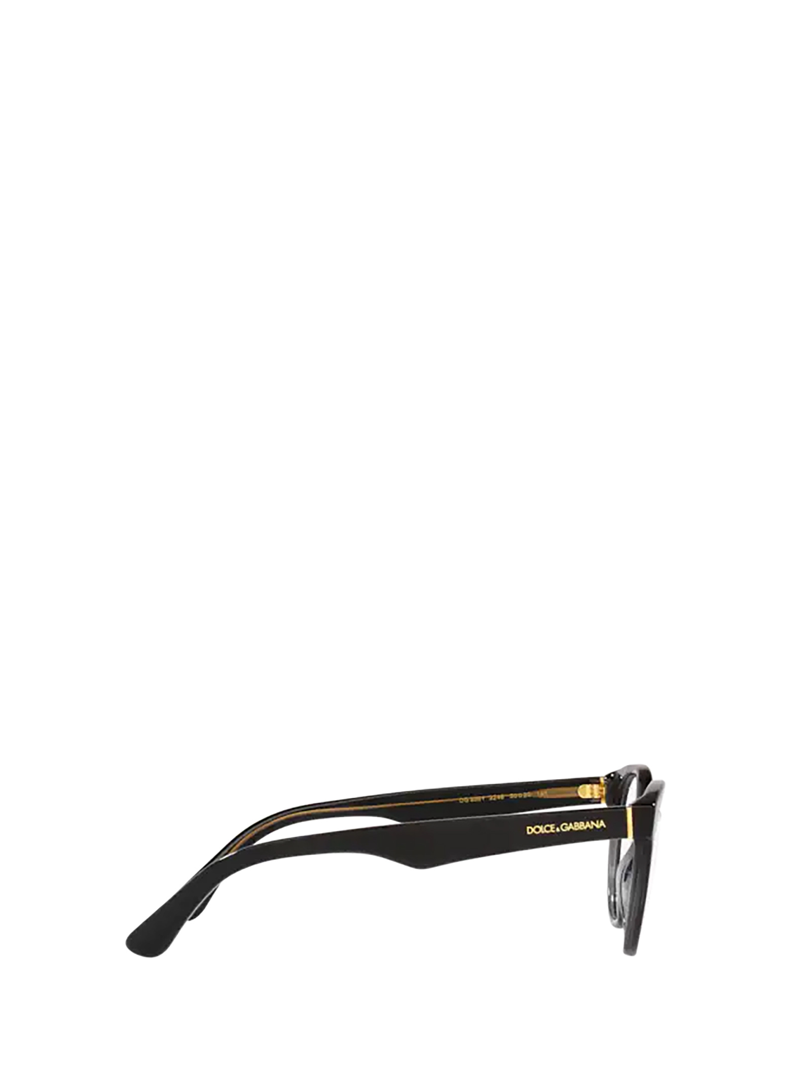 Dolce & Gabbana Round Frame Glasses In Black