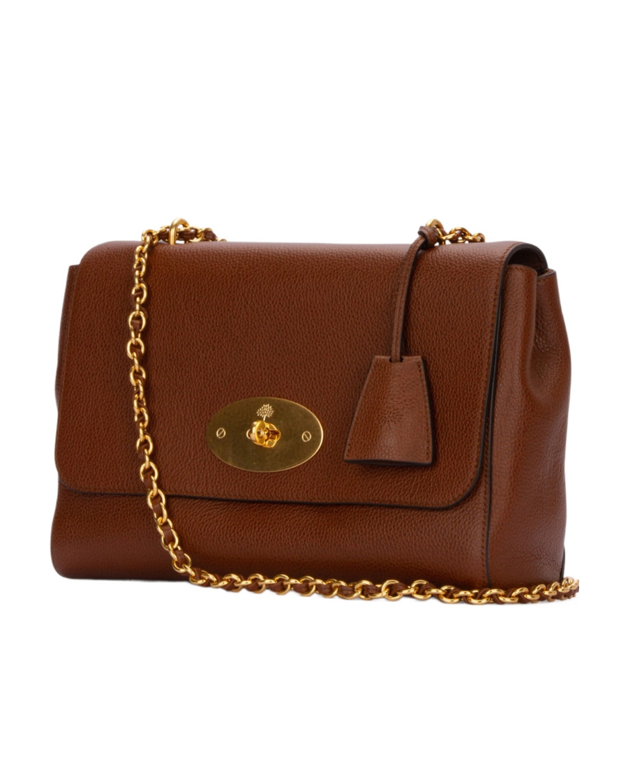 Shop Mulberry Medium Lily Shoulder Bag In Brown