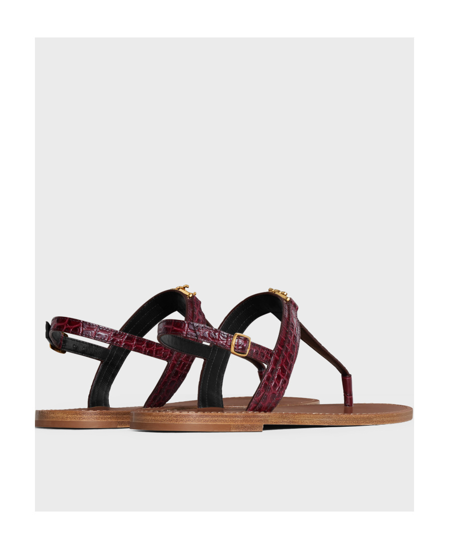 Celine Triomphe Flat-soled Sandals In Brown