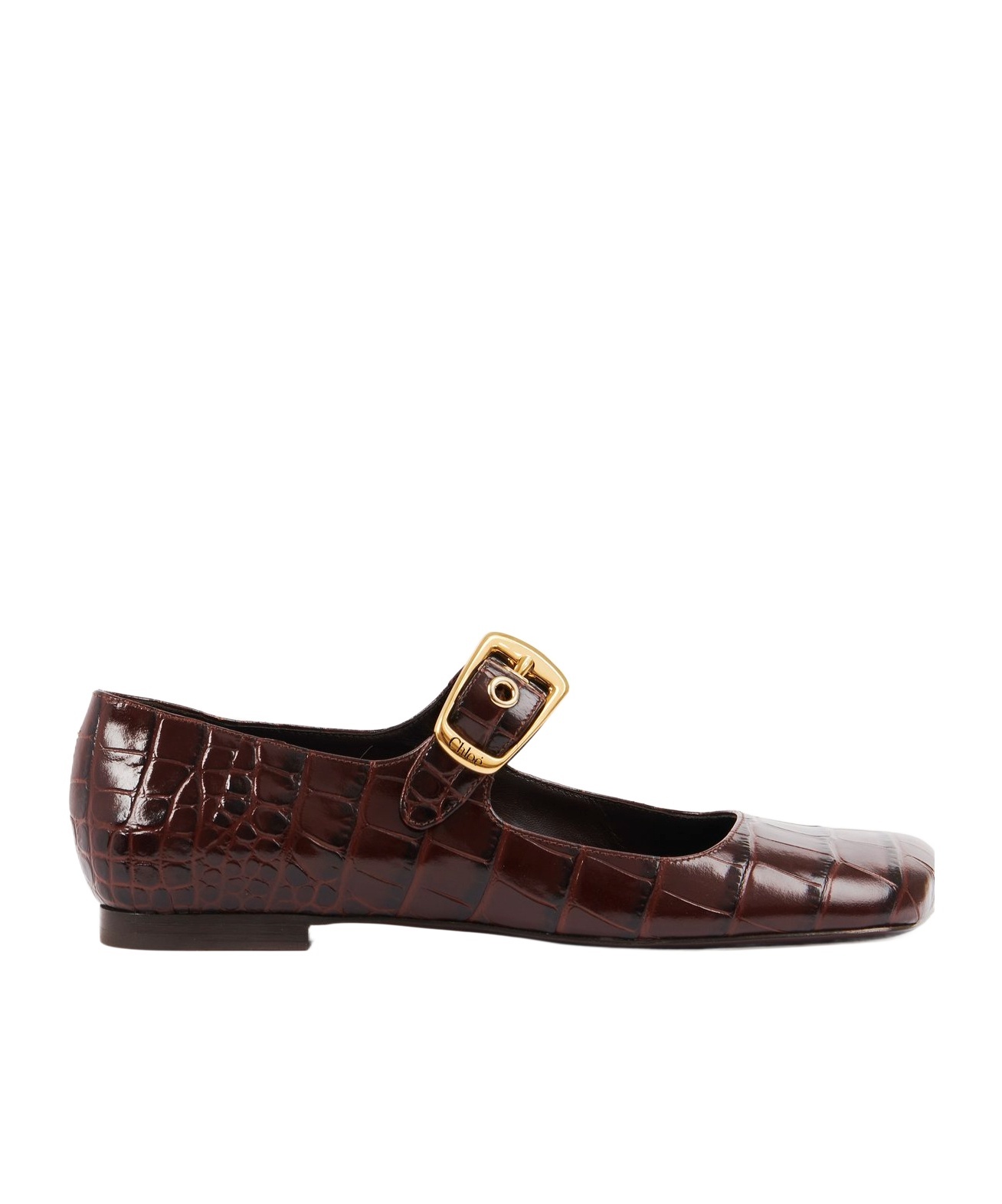 Chloé Polly Ballet Shoes In Brown