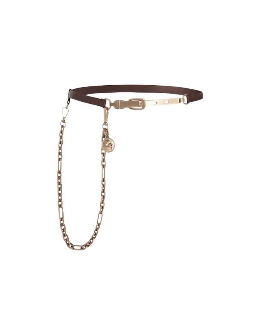 Shop Etro Leather Belt With Chain And Medallion In Brown