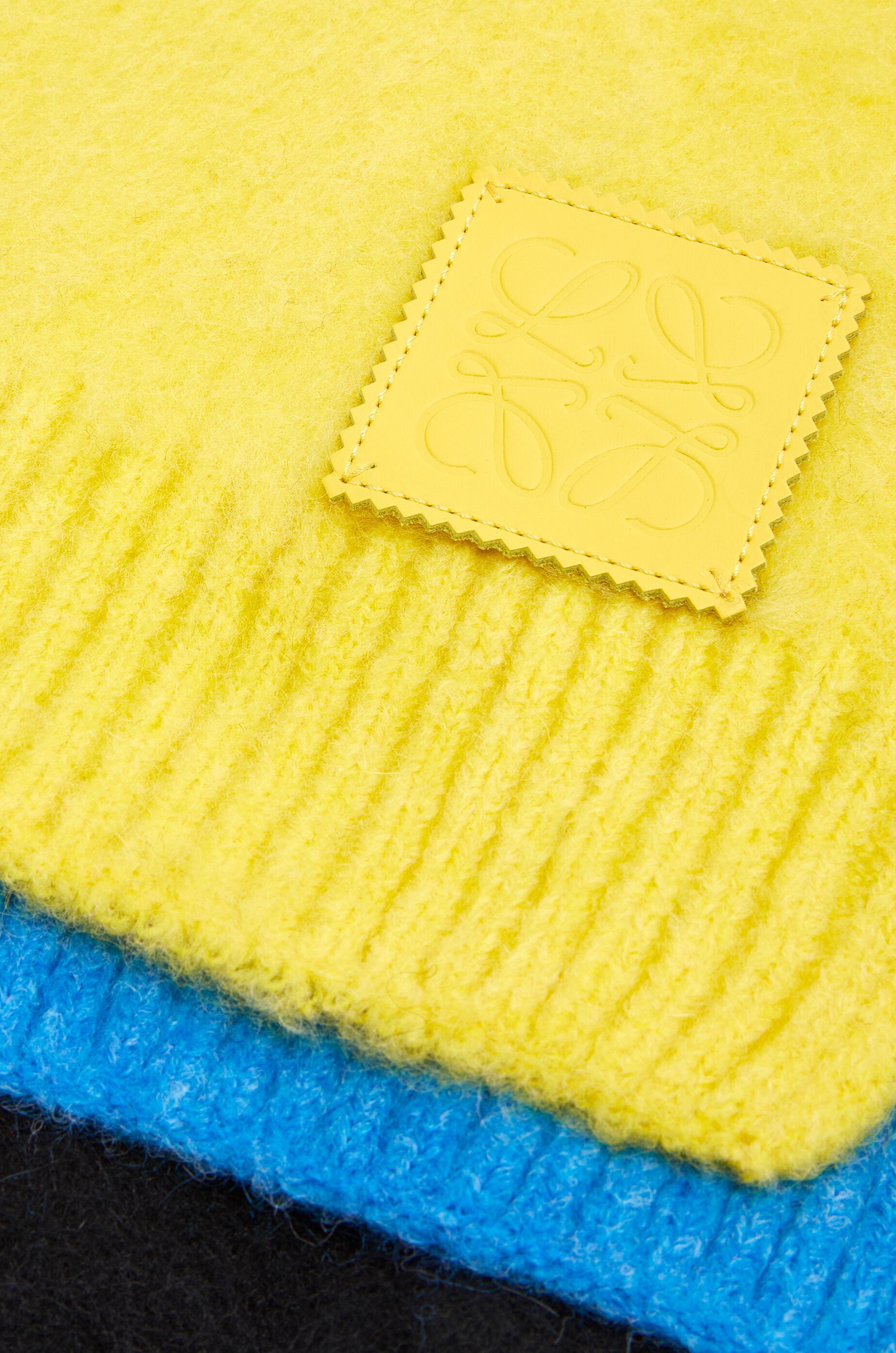 LOEWE COLOUR-BLOCK KNITTED SCARF