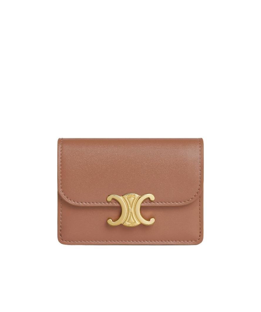 Celine Triomphe Card Bag In Brown