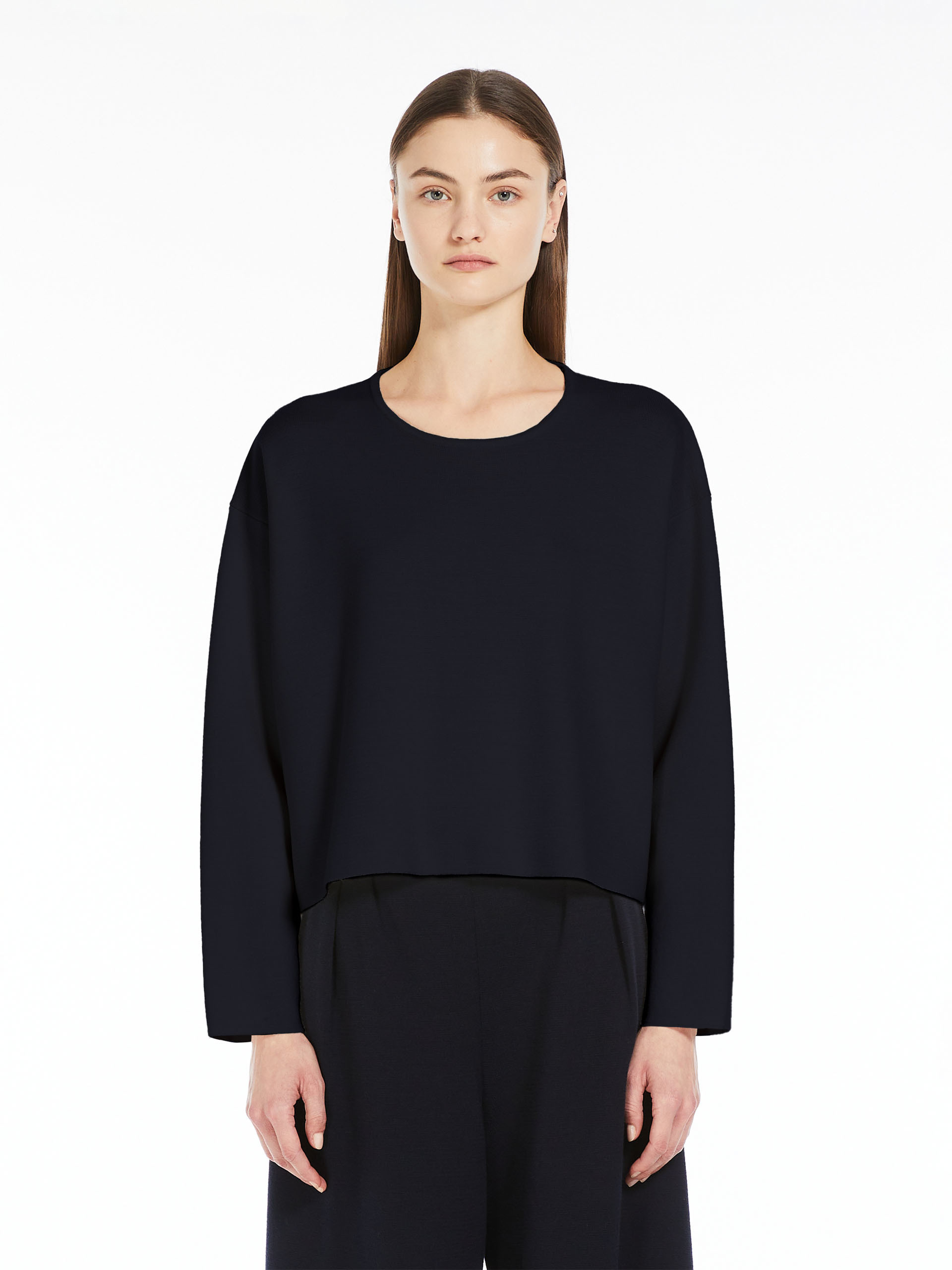 Max Mara Woolen Round Neck Sweater In Blue