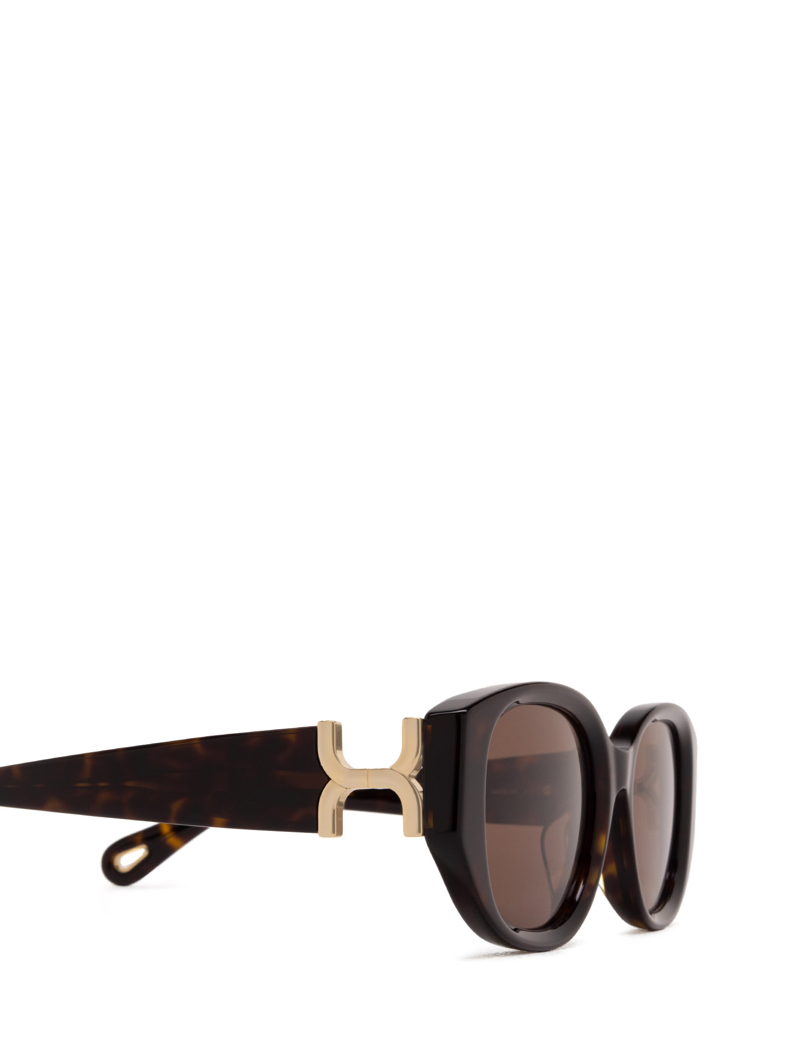 Chloé Marcie Oval-frame Sunglasses In Brown