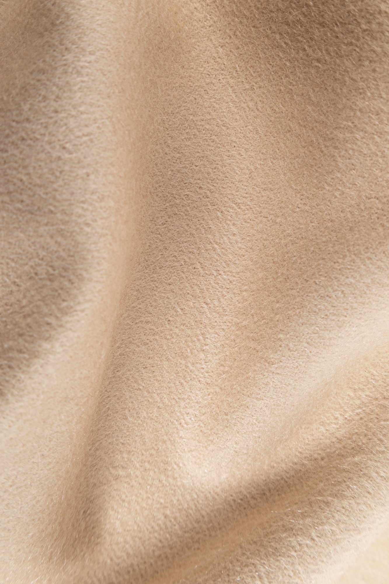 Max Mara Logo Embroidered Fringed Edge Scarf In Nude