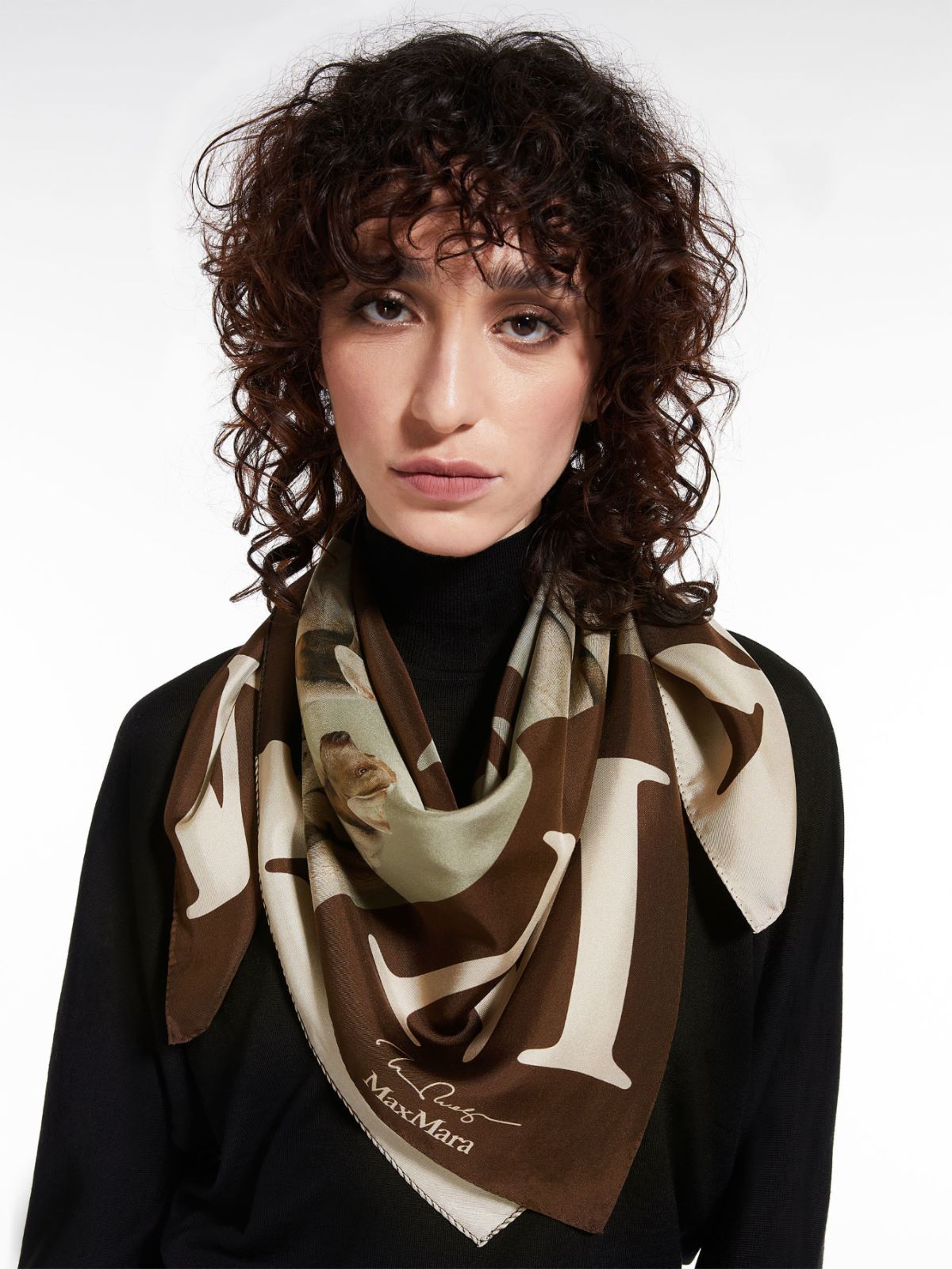 Max Mara Printed Scarf In Multicolor
