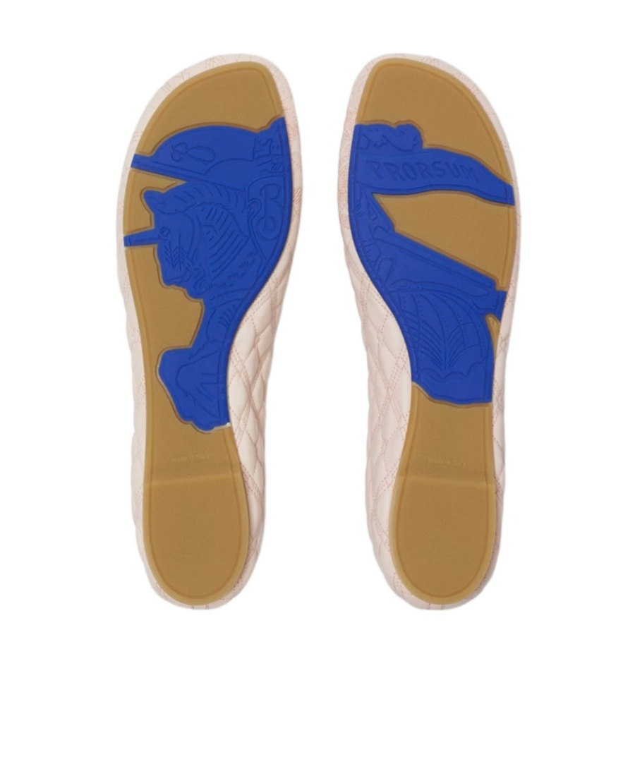 Burberry Sadler Leather Ballerina Flats Women In Pink