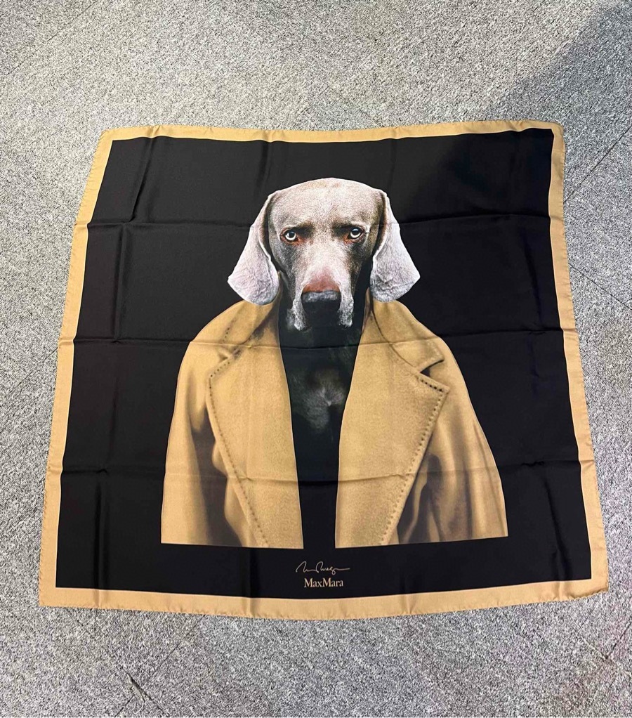 Max Mara Pattern Scarf In Nude