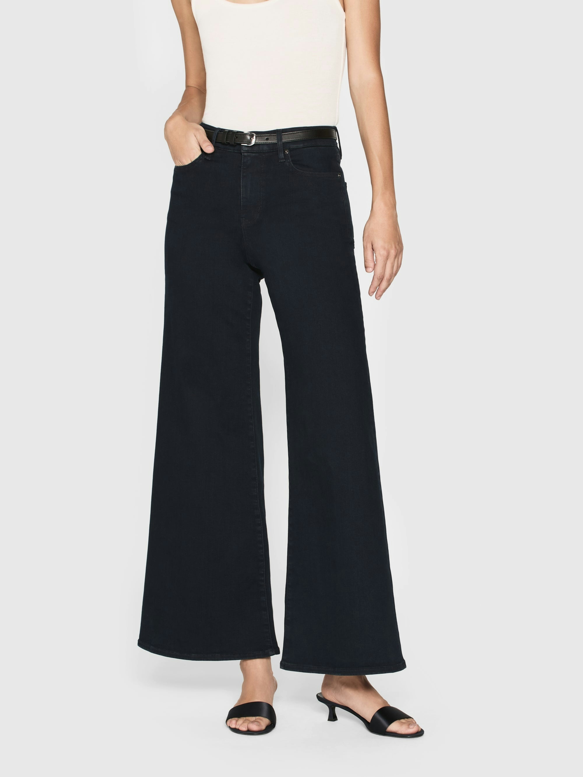 Frame Le Palazzo Crop Wide Leg Jeans