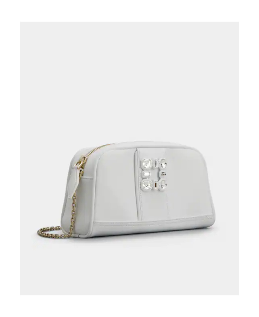Roger Vivier Walky Viv Camera Bag In Gray