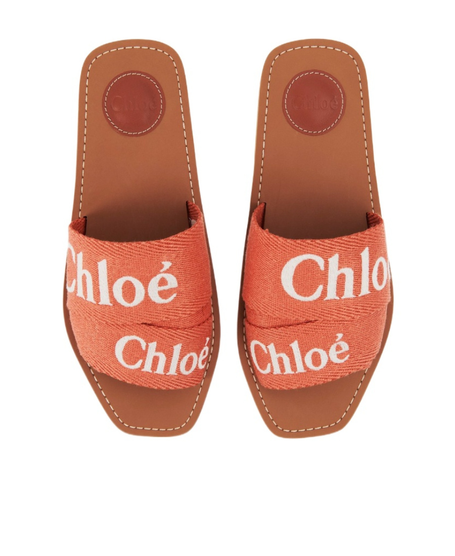 Chloé Woody Logo-embroidered Flat Mules In Brown